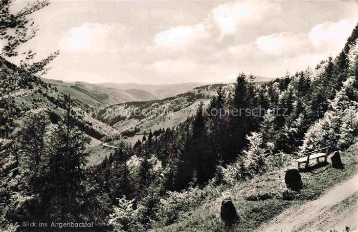 Haeg-Ehrsberg Baden Landschaftspanorama Blick ins Angenbachtal Schwarzwald