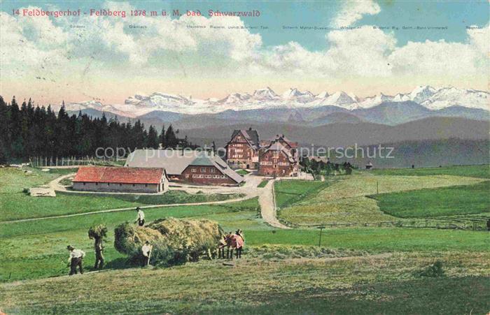 Feldberg 1450m Schwarzwald Panorama Feldarbeit Feldbergerhot Alpenpanorama Pruef