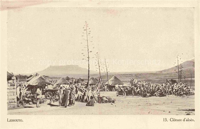 Lessouto Lesotho Cloture d'aloes