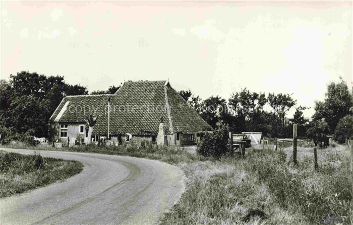 TERSCHELLING Friesland NL Oude Boerderij Oosterend