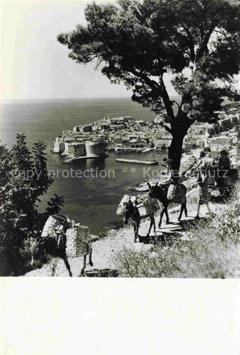 DUBROVNIK Ragusa Croatia Teilansicht Eseltreck
