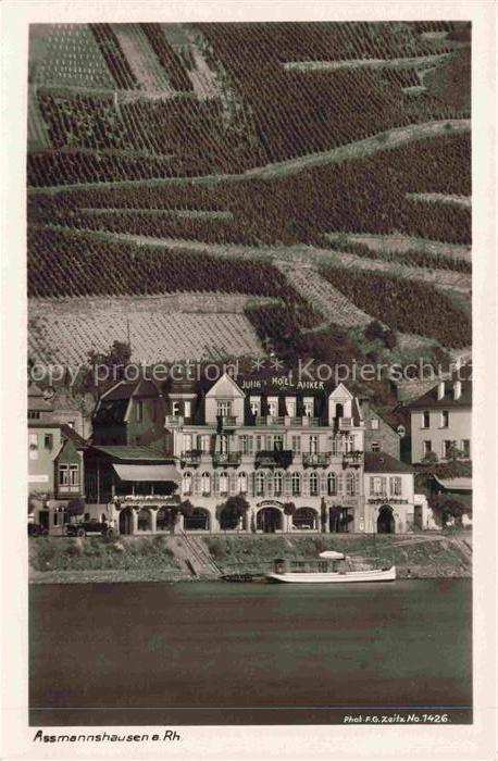 AssMANNSHAUSEN Rhein Jung Hotel Anker Historischer Gasthof Blick ueber den Rhein