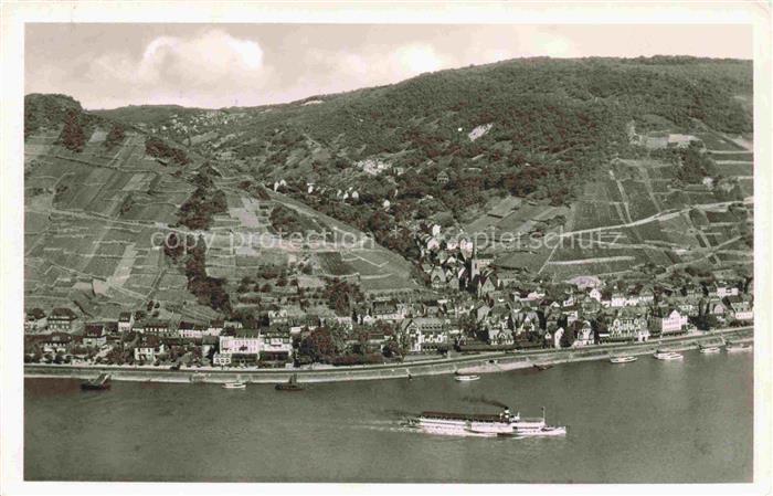 AssMANNSHAUSEN Rhein Fliegeraufnahme