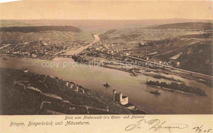 RueDESHEIM am Rhein Hessen Panorama Blick vom Niederwald-Denkmal ins Rhein- und