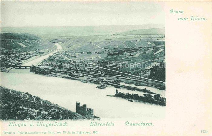 Bingen Rhein Rheinland-Pfalz Panorama mit Bingerbrueck Burg Ehrenfels und Maeuse