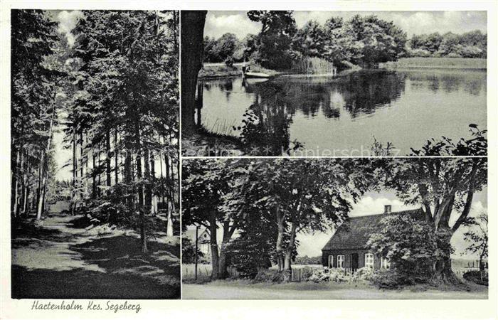 Hartenholm Segeberg Schleswig-Holstein Waldpartie Partie am Wasser Bauernhof