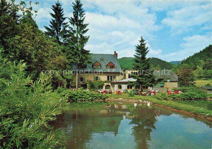 Mayen Eifel Rheinland-Pfalz Schwedisches Gaestehaus Nette Muehle Teich