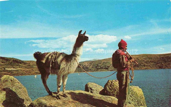 Lago Titicaca Peru Bolivia Einheimischer mit Lama am See