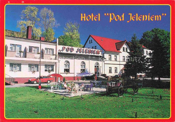 Swieradow Zdroj Bad Flinsberg PL Hotel Pod Jeleniem