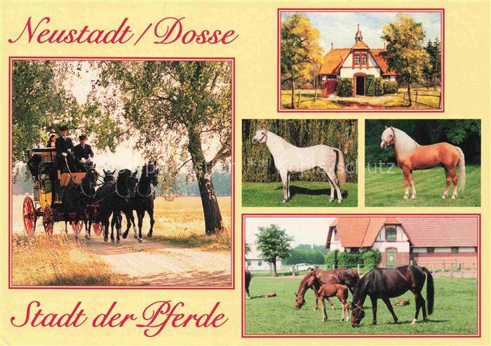 Neustadt Dosse Brandenburg Stadt der Pferde Brandenburgisches Haupt- und Landges