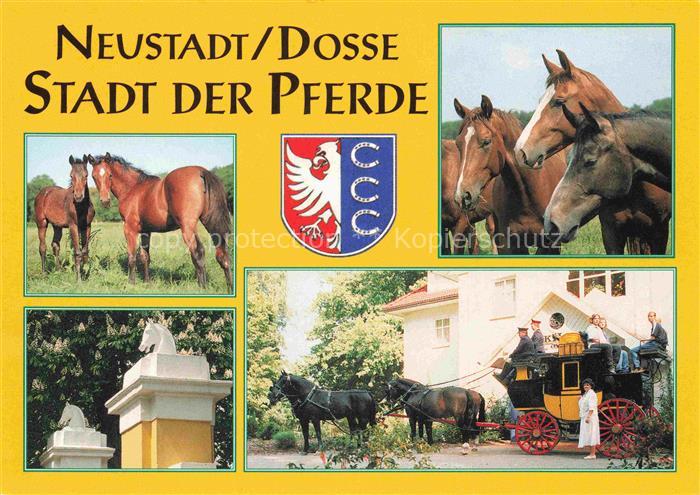 Neustadt Dosse Brandenburg Stadt der Pferde Brandenburgisches Haupt- und Landges