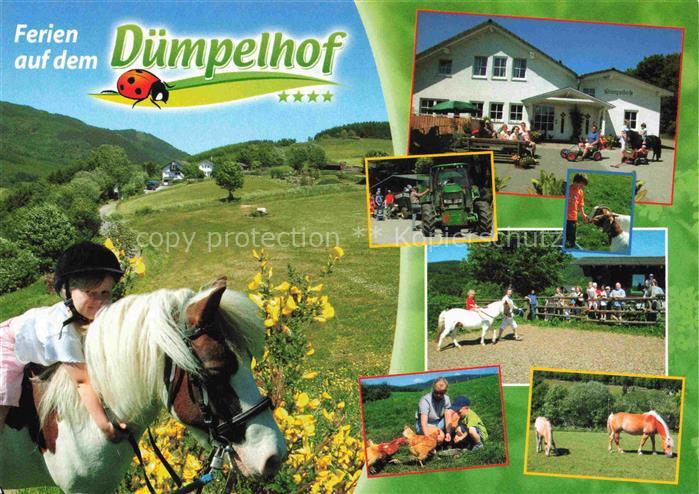 Wulmeringhausen Olsberg Hochsauerlandkreis NRW Ferien auf dem Duemplehof Ponyrei