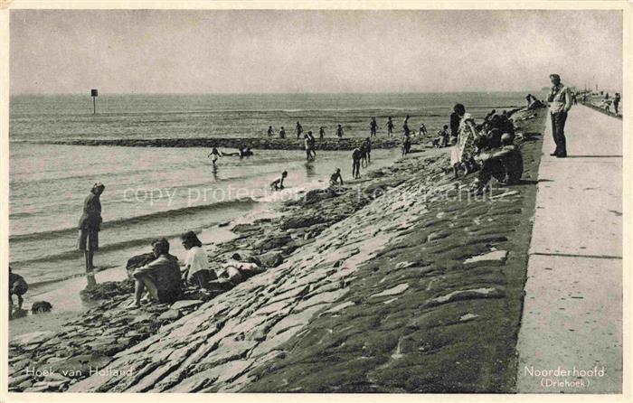 Noorderhoofd Driehoek Oost-Vlaanderen Belgie Sur la plage Promenade