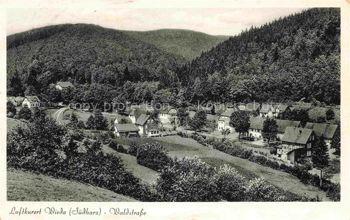 Wieda Osterode Harz Niedersachsen Panorama Waldstrasse