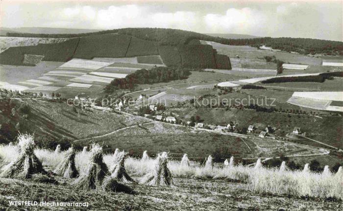 Westfeld Schmallenberg Sauerland NRW Panorama Blick ueber die Felder Landschaft