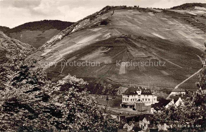 Rech Ahr Ahrweiler Rheinland-Pfalz Panorama Hotel und Weingut Appel Weinberge