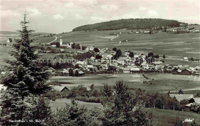 Neukirchen Heilig Blut Mais Cham Bayern Panorama