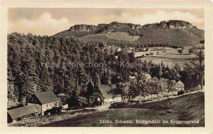 Roelligmuehle Krippengrund Krippen Bad Schandau Sachsen Panorama