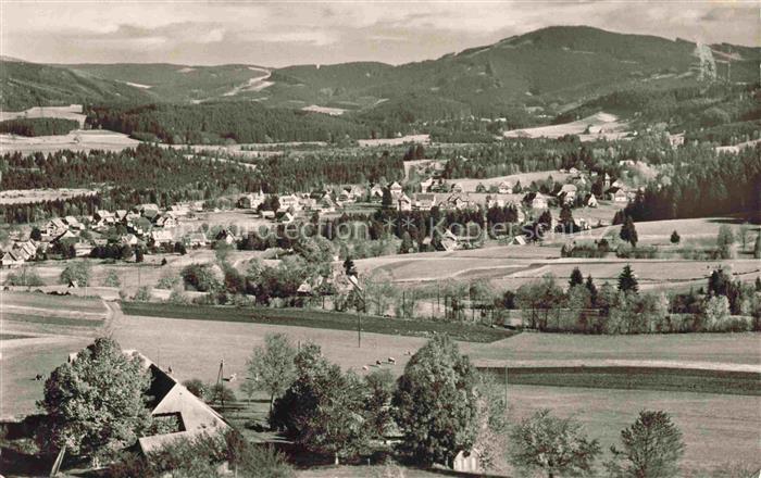 Hinterzarten Breisgau-Hochschwarzwald BW Panorama