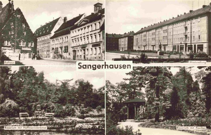 Sangerhausen  Suedharz Rathaus Westsiedlung Rosarium mit Hoffmannsdenkmal Rosari