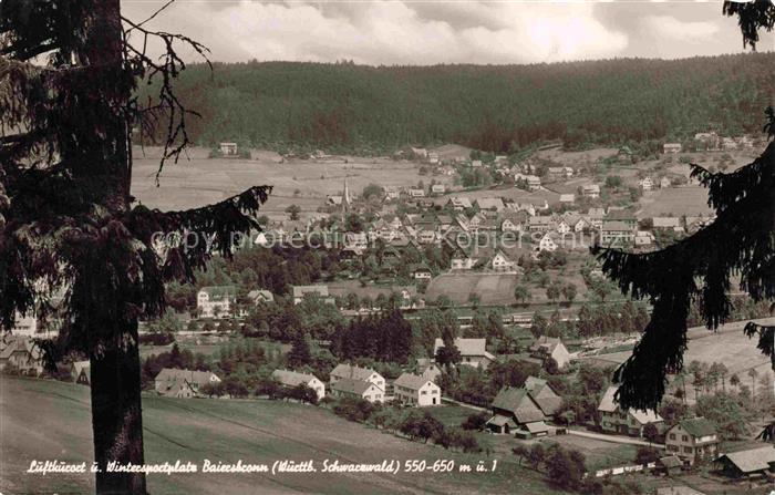 Baiersbronn Schwarzwald Panorama