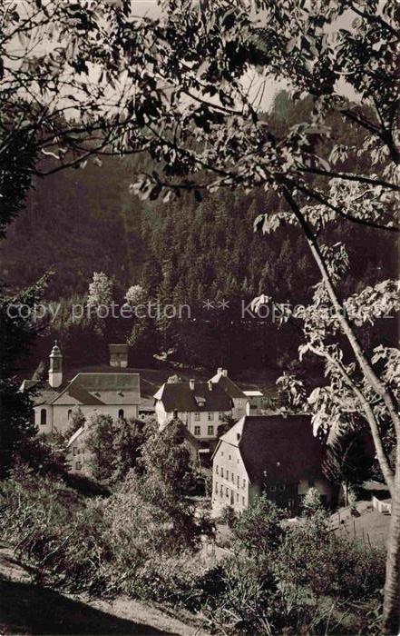 Gremmelsbach Triberg Schwarzwald BW Teilansicht