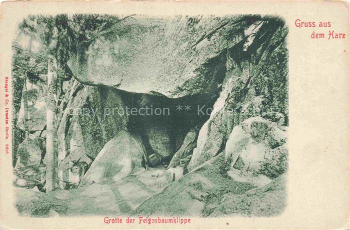 BAD HARZBURG Niedersachsen Grotte der Feigenbaumklippe