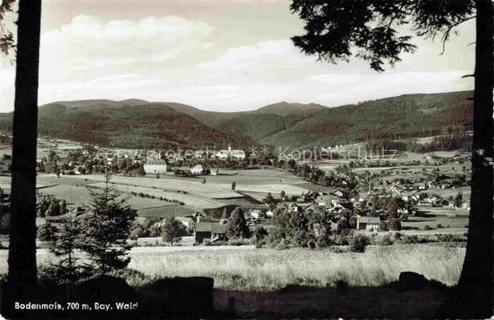 Bodenmais Regen Bayern Panorama