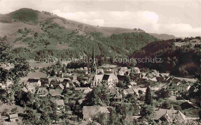 Schoenau Schwarzwald Panorama