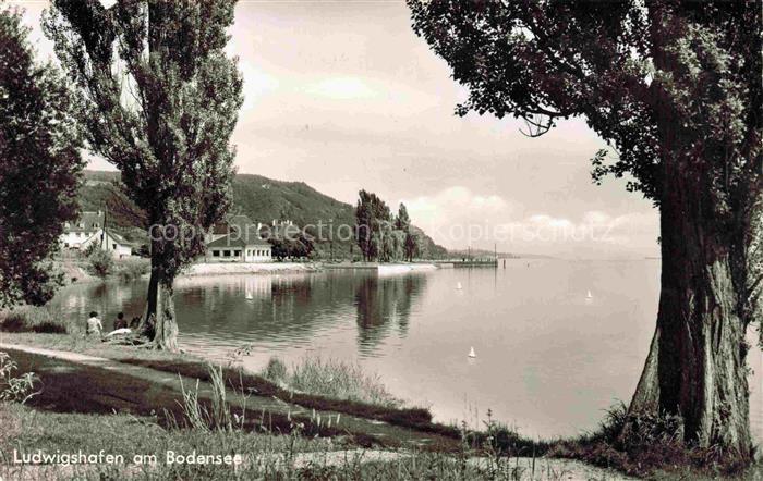 Ludwigshafen Bodman-Ludwigshafen Bodensee Seepanorama