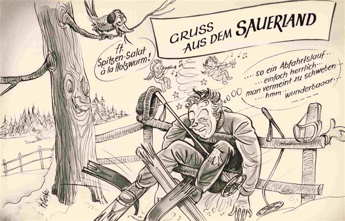 Sauerland (Region) NRW Crash beim Skilaufen Karikatur