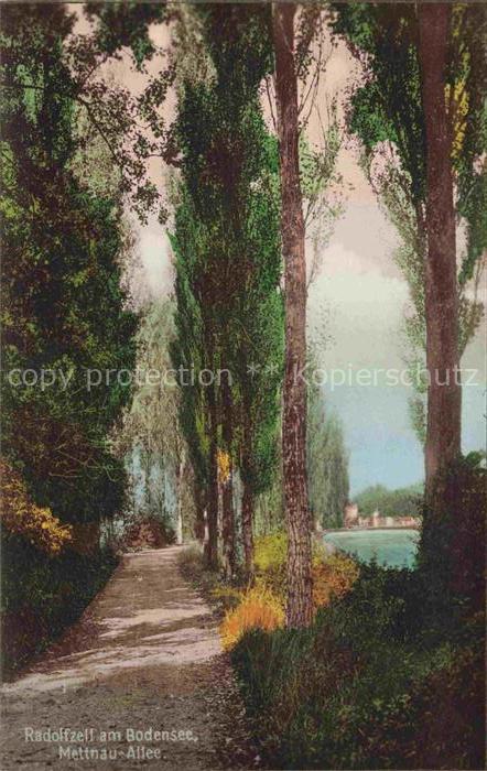 Radolfzell Bodensee Mettnau Allee