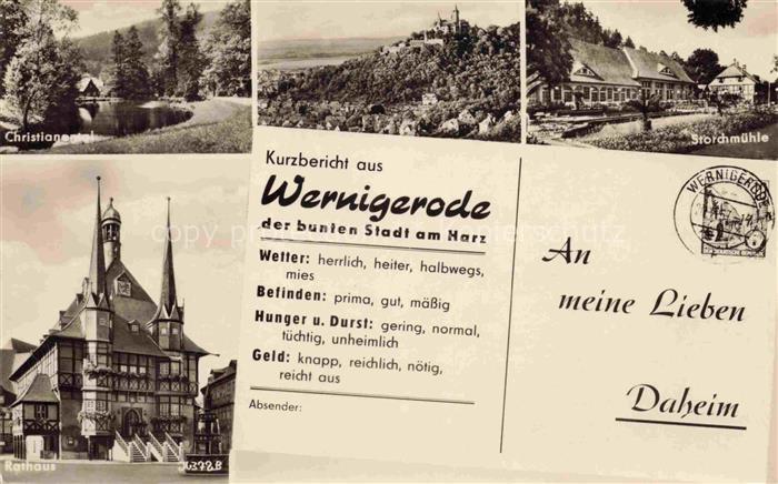 Wernigerode Harz Christianental Rathaus Panorama Storchmuehle