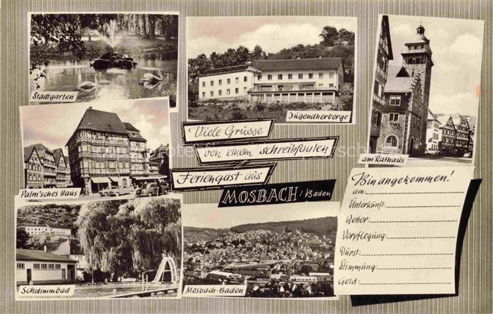 Mosbach Baden Neckar-Odenwald-Kreis BW Stadtgarten Palmsches Haus Schwimmbad Pan