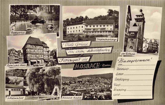 Mosbach Baden Neckar-Odenwald-Kreis BW Stadtgarten Jugendherberge Rathaus Palmsc