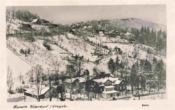 Kipsdorf Altenberg Sachsen Panorama