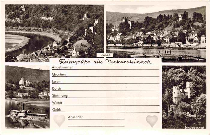 Neckarsteinach Panorama Mittelburg Schwalbennest