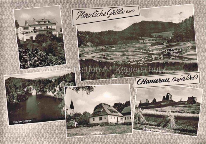 Chamerau CHAM Bayern Restaurant Schwalbenhof Blaubergersee Lamberg Panorama Ruin