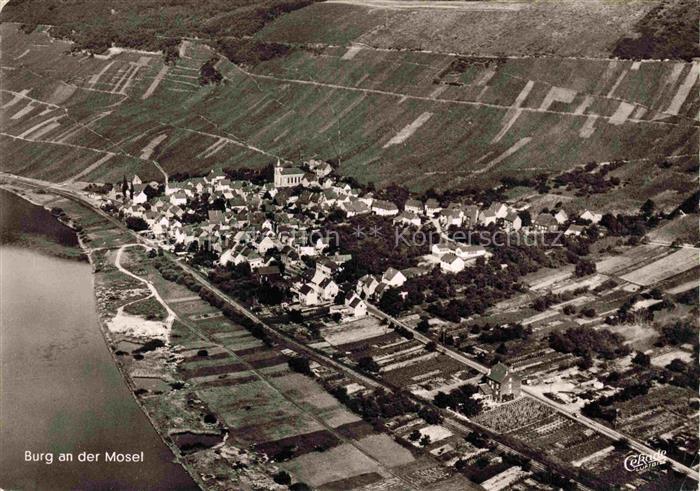 Burg Mosel Fliegeraufnahme