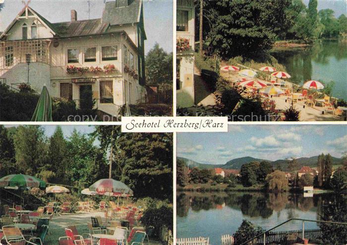Herzberg  Harz Osterode Niedersachsen Seehotel Herzberg Terrasse Seepartie