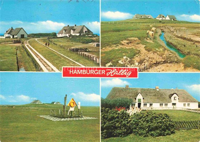 Hamburger Hallig Nordfriesland Schleswig-Holstein Teilansichten