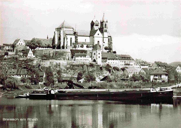 Breisach Rhein BW Rheinpartie mit St Stephans Muenster