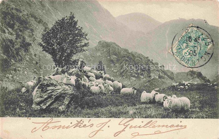 Schaeferei Sheperding Bergerie--