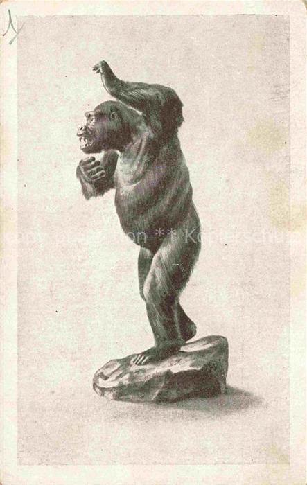 Affen Monkeys Singes Monos Scimmie-- Le Gorille Congo francais