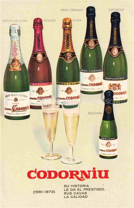 Wein Wine Vin Vino-- Casa Codorniu San Sadurni de Noya Espana
