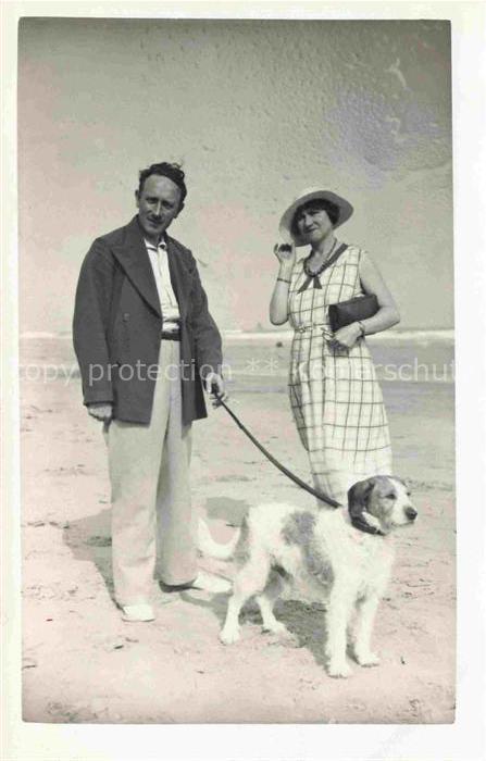 HUNDE dogs chiens-- Strand