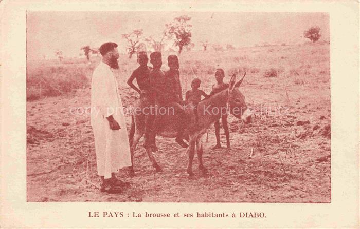 Esel Donkey Ane Burro Asno Asino-- Le Pays Diabo Kinder Niger