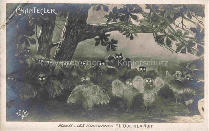 Foto ELD Nr. Eulen Uhu les Nocturnes L'de a la nuit Chantecler