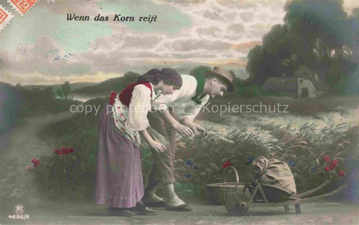 Foto RPH Nr. Wenn das Korn reift Landwirtschaft