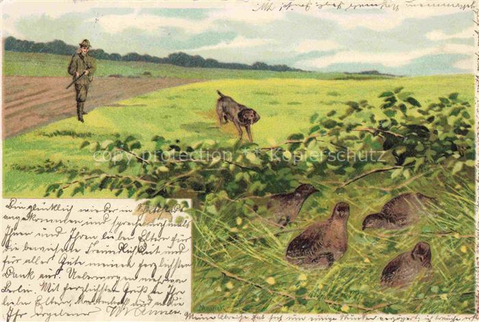 Jagd Chasse Hunting Hund Voegel Litho
